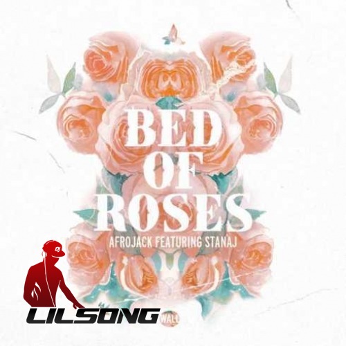 Afrojack - Bed Of Roses